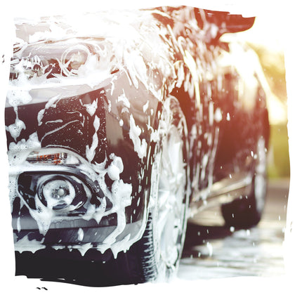 Produits de nettoyage AUTO Grizzly Wash Product avec des dégraissants moteurs, des shampoings brillanteurs, des démoustiquants express, des rénovateurs tableau de bord et habitacle, etc.